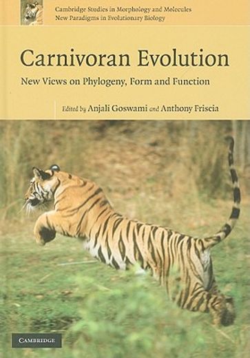 carnivoran evolution,new views on phylogeny, form and function