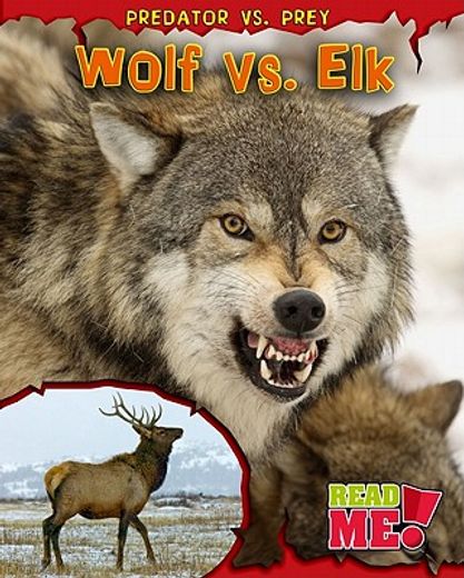 wolf vs. elk