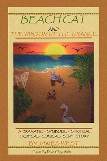 beach cat and the wisdom of the orange