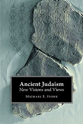 ancient judaism,new visions and views