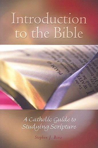introduction to the bible,a catholic guide to studying scripture