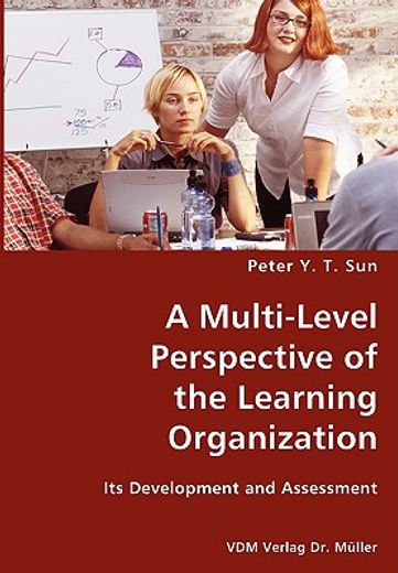 a multi-level perspective of the learning organization