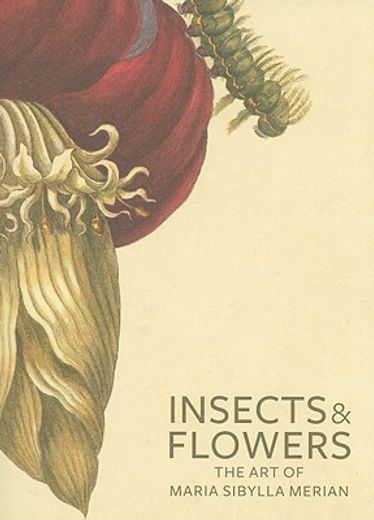 insects & flowers,the art of maria sibylla merian (en Inglés)