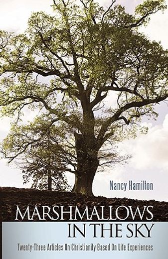 marshmallows in the sky,twenty-three articles on christianity based on life experiences