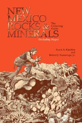 new mexico rocks and minerals (en Inglés)