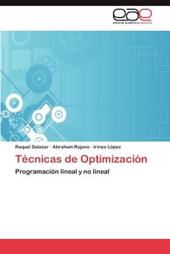 t cnicas de optimizaci n (in Spanish)