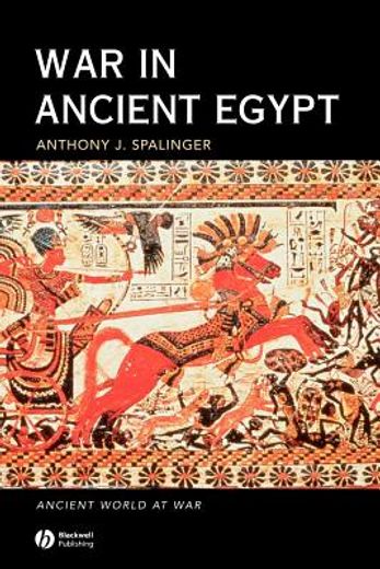 war in ancient egypt,the new kingdom (en Inglés)