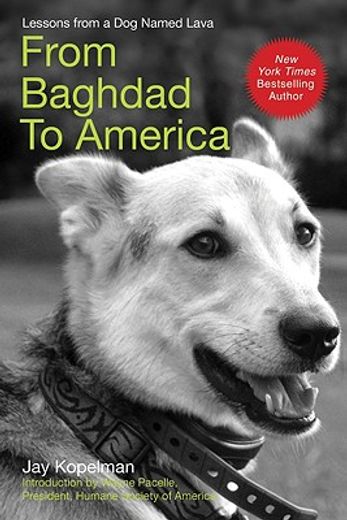 From Baghdad to America: Life After War for a Marine and His Rescued Dog (en Inglés)