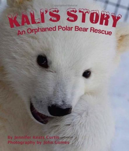 Kali's Story: An Orphaned Polar Bear Rescue (en Inglés)