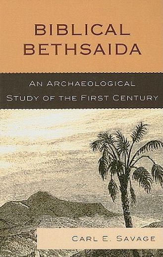 biblical bethsaida,an archaeological study of the first century