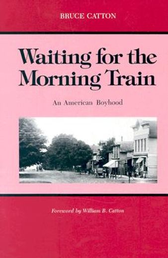 waiting for the morning train,an american boyhood