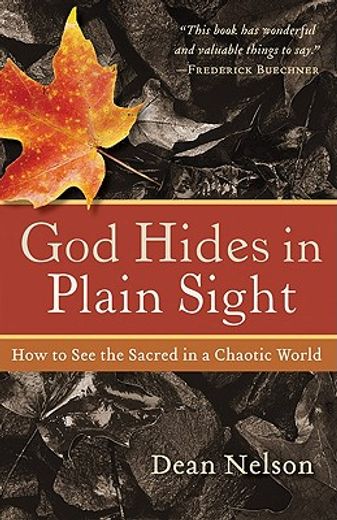 god hides in plain sight,how to see the sacred in a chaotic world