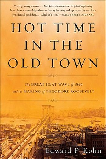 hot time in the old town,the great heat wave of 1896 and the making of theodore roosevelt
