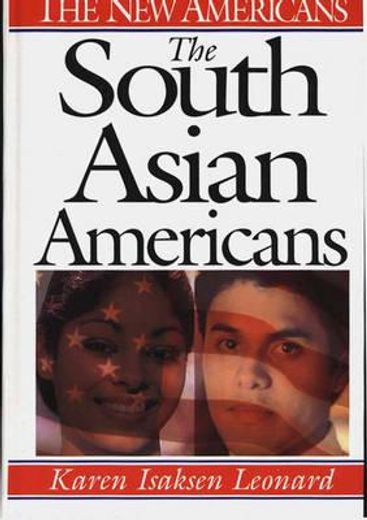 the south asian americans