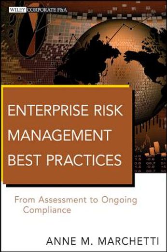 enterprise risk management best practices (en Inglés)