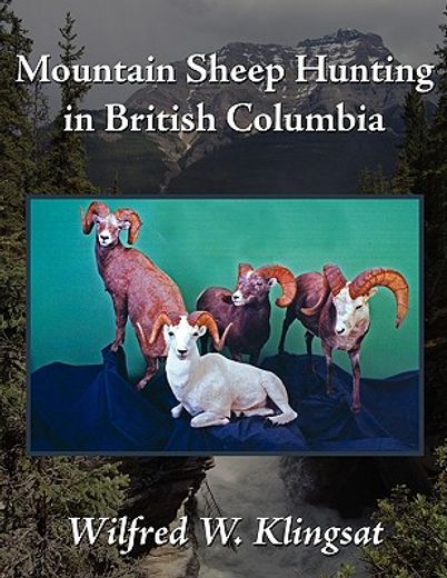 mountain sheep hunting in british columbia (en Inglés)