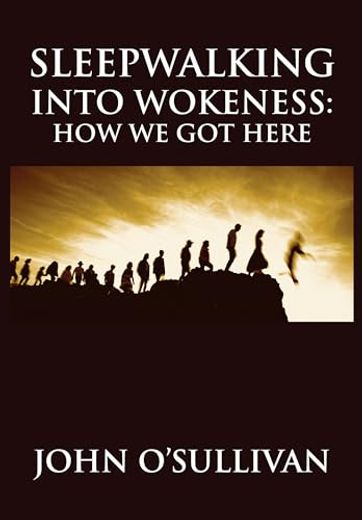 Sleepwalking Into Wokeness: How we got Here (en Inglés)