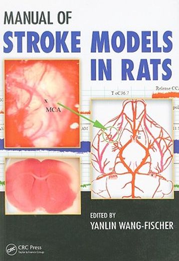 manual of stroke models in rats