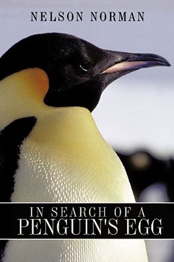 in search of a penguin´s egg