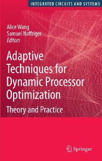 adaptive techniques for dynamic processor optimization,theory and practice