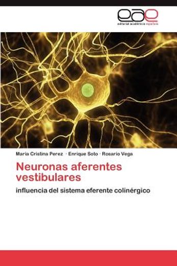 neuronas aferentes vestibulares (in Spanish)