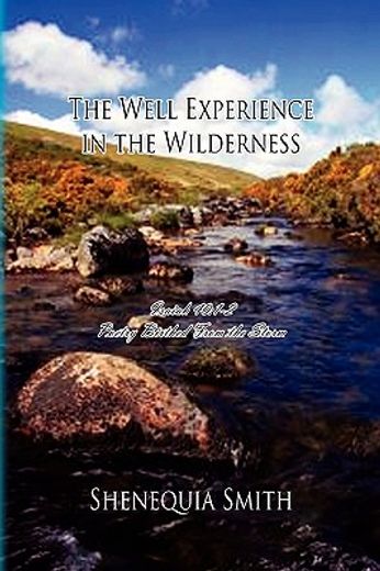 the well experience in the wilderness,poetry birthed from the storm