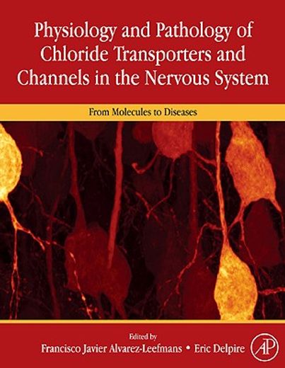 physiology and pathology of chloride transporters and channels in the nervous system,from molecules to diseases