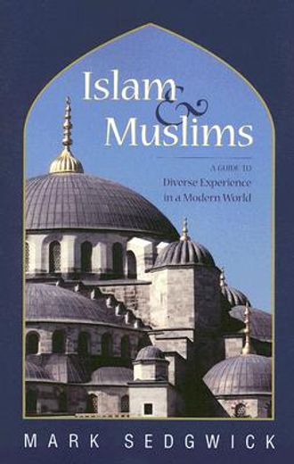 Islam & Muslims: A Guide to Diverse Experience in a Modern World (en Inglés)