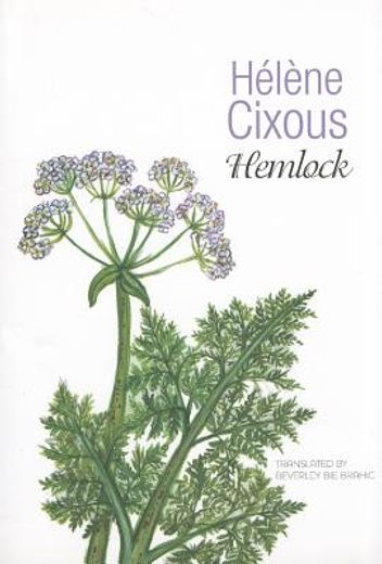 hemlock,old women in bloom