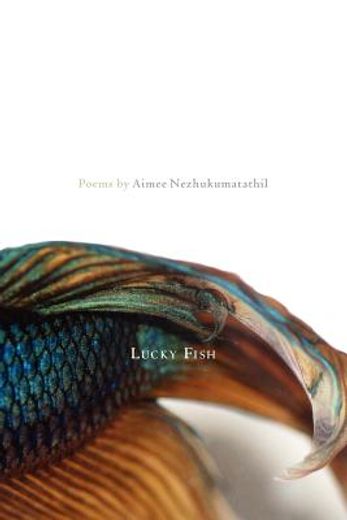lucky fish (en Inglés)