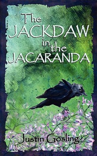 jackdaw in the jacaranda
