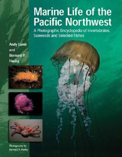 marine life of the pacific northwest,a photographic encyclopedia of invertibrates, seaweeds and selected fishes