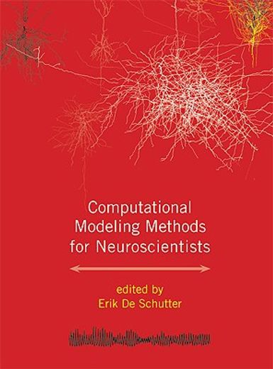 computational modeling methods for neuroscientists