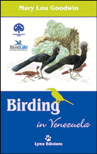 birding in venezuela