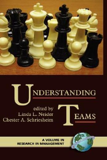 understanding teams