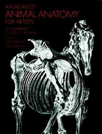 an atlas of animal anatomy for artists (en Inglés)