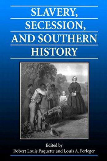 slavery, secession, and southern history
