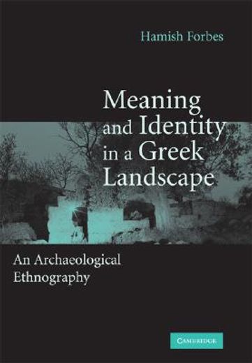 meaning and identity in a greek landscape,an archaeological ethnography