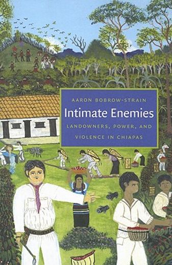 intimate enemies,landowners, power, and violence in chiapas