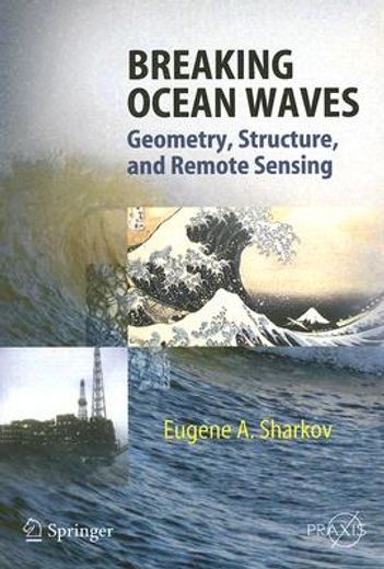 breaking ocean waves,geometry, structure, and remote sensing