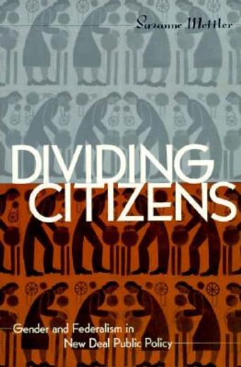divided citizens,gender and federalism in new deal public policy