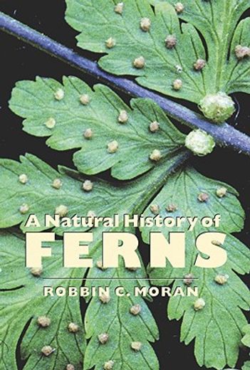 a natural history of ferns (en Inglés)