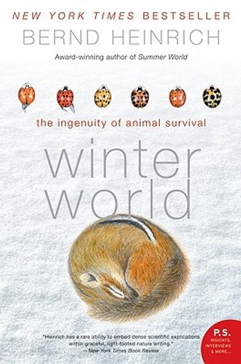winter world,the ingenuity of animal survival