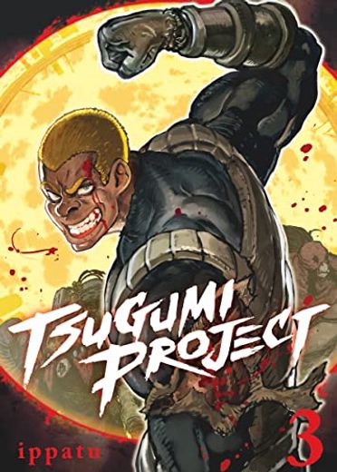 Tsugumi Project 3 (en Inglés)