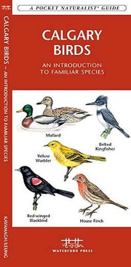 calgary birds,an introduction to familiar species (en Inglés)