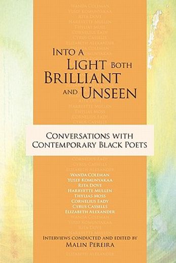 into a light both brilliant and unseen,conversations with contemporary black poets