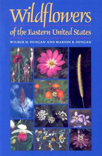 wildflowers of the eastern united states (in English)