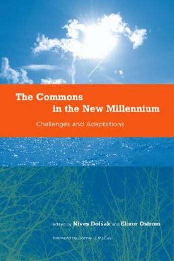 the commons in the new millennium,challenges and adaptation