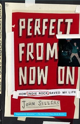 perfect from now on,how indie rock saved my life