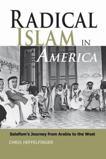 radical islam and american muslims,understanding islamist ideology in western society